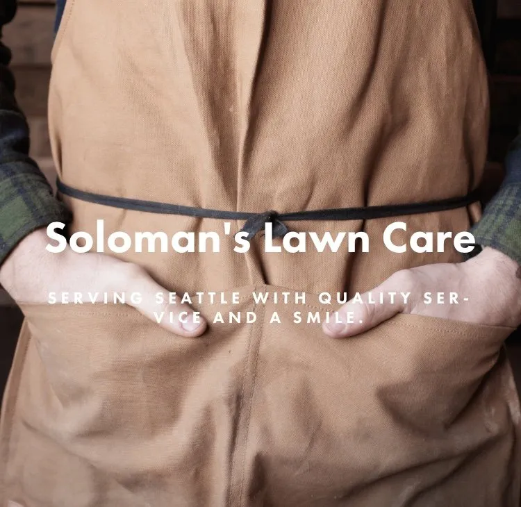 Top-rated landscaping services in Seattle, WA - Soloman's Lawn Care