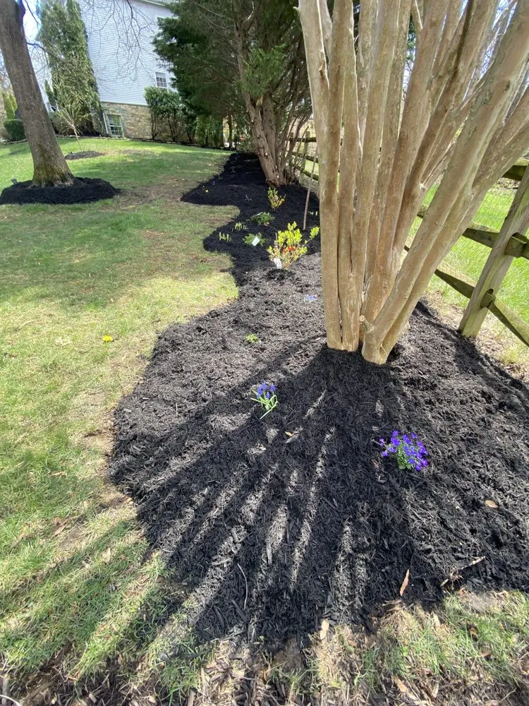 Affordable landscape design in Annandale, VA by Solomon Home Improvement