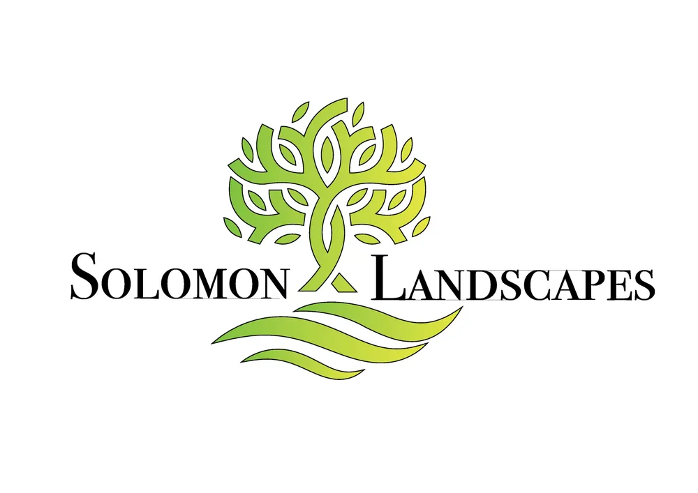 Professional lawn mowing service in Kannapolis, NC by Solomon Landscapes