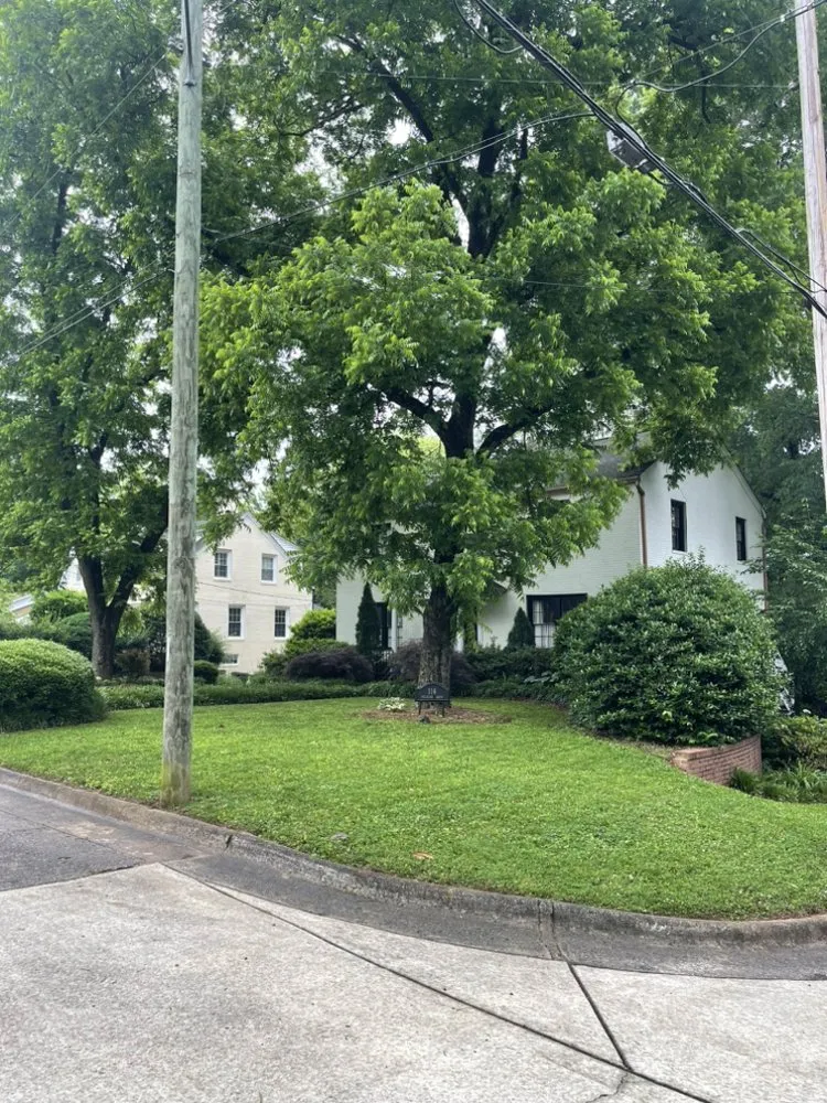 Top-rated landscape design in Kannapolis, NC by Solomon Landscapes