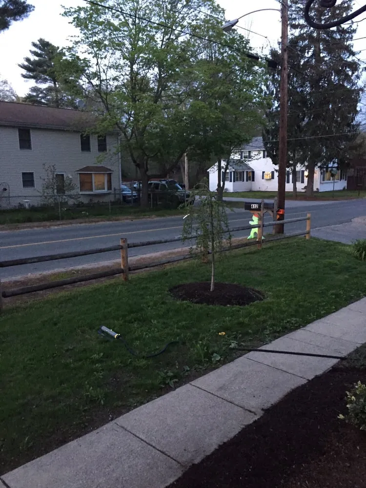 Reliable lawn care service near you across Dedham, MA - Solomon Landscaping