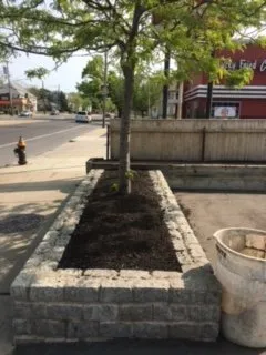 Expert residential landscaping experts serving Dedham, MA - Solomon Landscaping