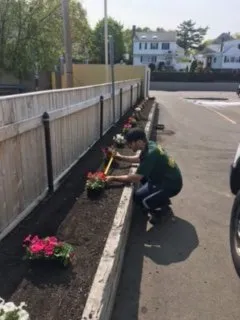 Expert lawn care service in Dedham, MA - Solomon Landscaping