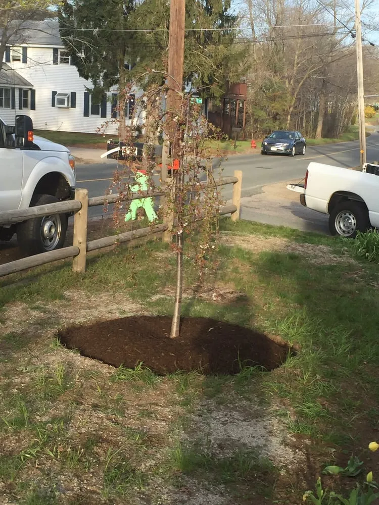 Reliable lawn mowing service for residential properties across Dedham, MA - Solomon Landscaping