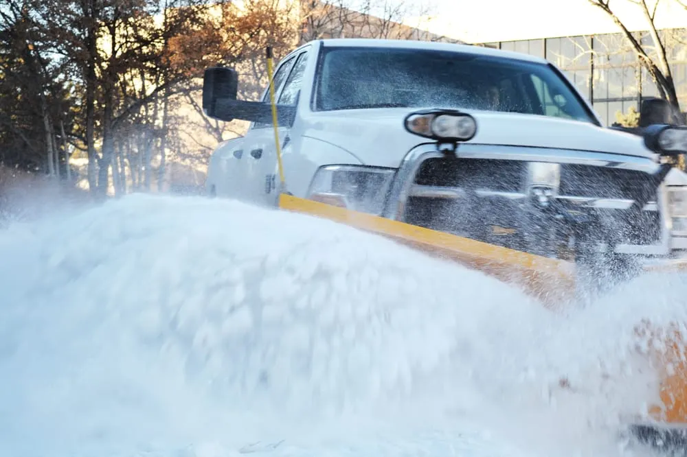 Trusted lawn mowing service experts serving Denver, CO - Solomon Services