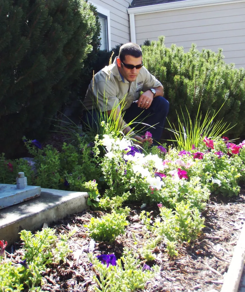 Reliable outdoor landscaping experts serving Denver, CO - Solomon Services
