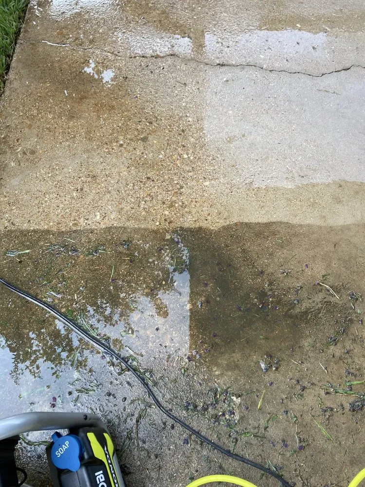 Expert landscape installation for year-round maintenance in Arlington, TX by Solomon's Garden