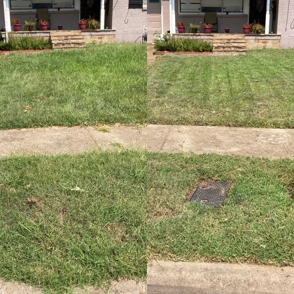 Expert residential landscaping in Arlington, TX by Solomon's Garden