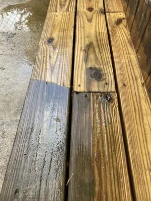 Solomon's Garden Logo