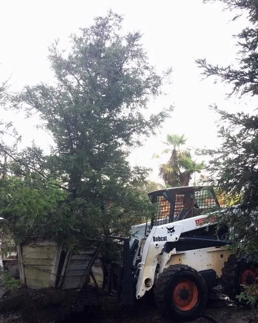 Professional residential landscaping in Sonora, CA - Solomon's Gardens Nursery & Landscaping