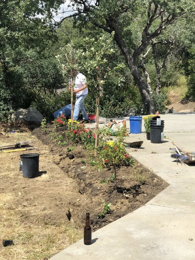 Top-rated landscape installation for beautiful yards in Sonora, CA by Solomon's Gardens Nursery & Landscaping