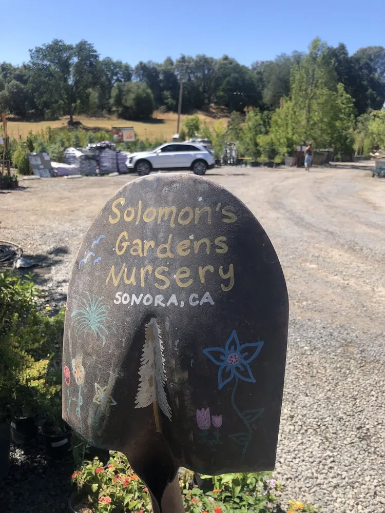 Affordable garden landscaping experts serving Sonora, CA - Solomon's Gardens Nursery & Landscaping