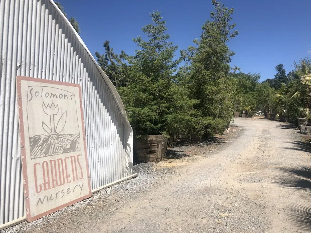 Affordable yard maintenance experts serving Sonora, CA - Solomon's Gardens Nursery & Landscaping