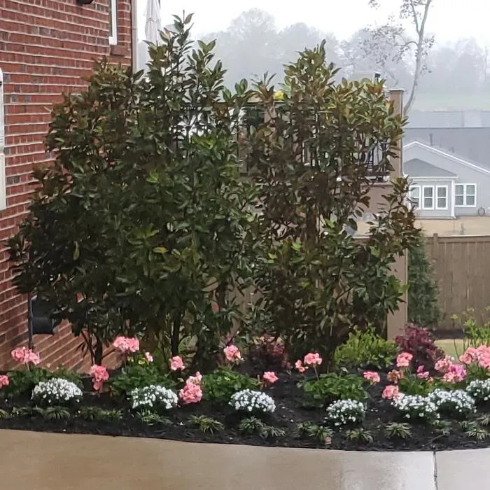 Reliable lawn mowing service experts serving Simpsonville, SC - Solomon's Landscape & Design