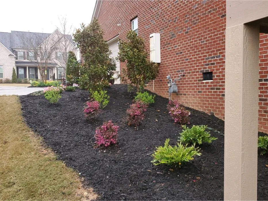 Custom lawn mowing service for year-round maintenance across Simpsonville, SC - Solomon's Landscape & Design