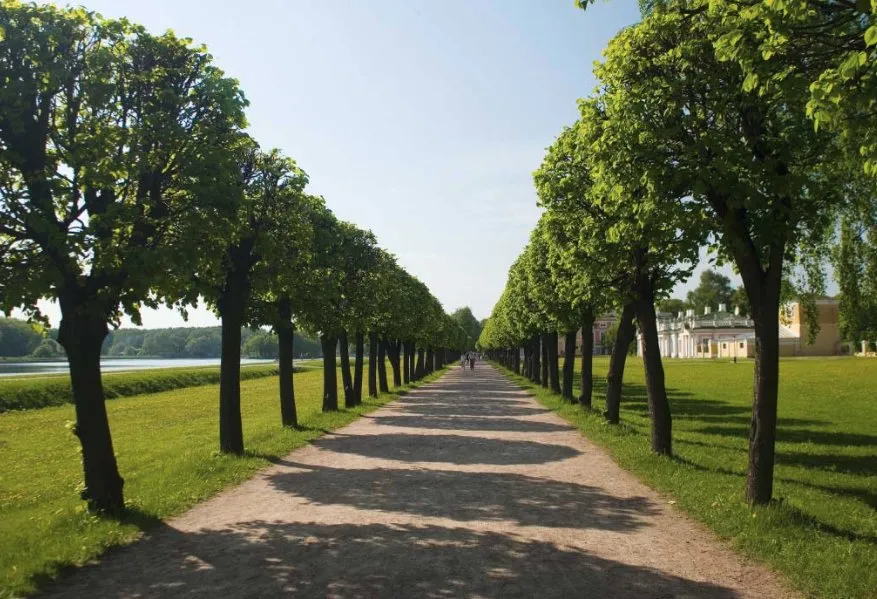 Local garden landscaping in Winter Haven, FL by Solomon's Landscaping & Tree Service