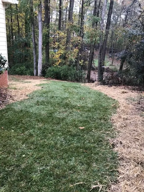 Expert lawn care service with custom design across Lawrenceville, GA - Solomons Lawn Care Management