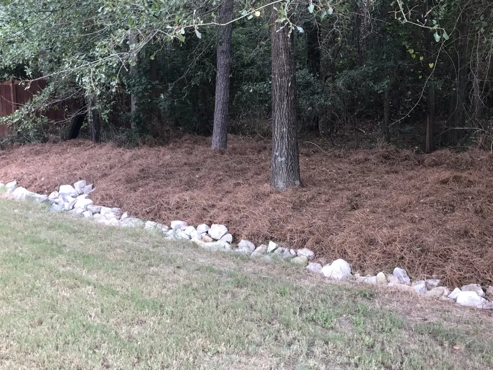 Trusted yard cleanup service experts serving Lawrenceville, GA - Solomons Lawn Care Management