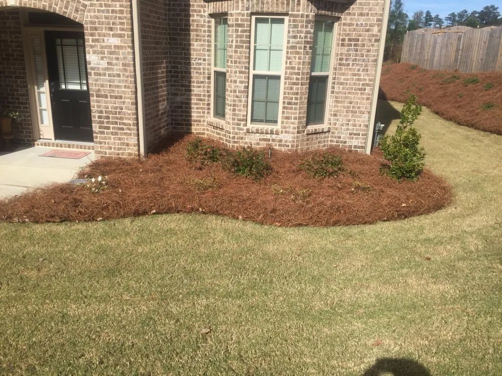 Expert landscaping services experts serving Lawrenceville, GA - Solomons Lawn Care Management