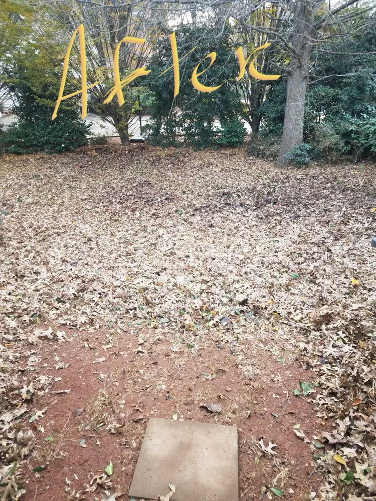 Top-rated landscape design experts serving Lawrenceville, GA - Solomons Lawn Care Management