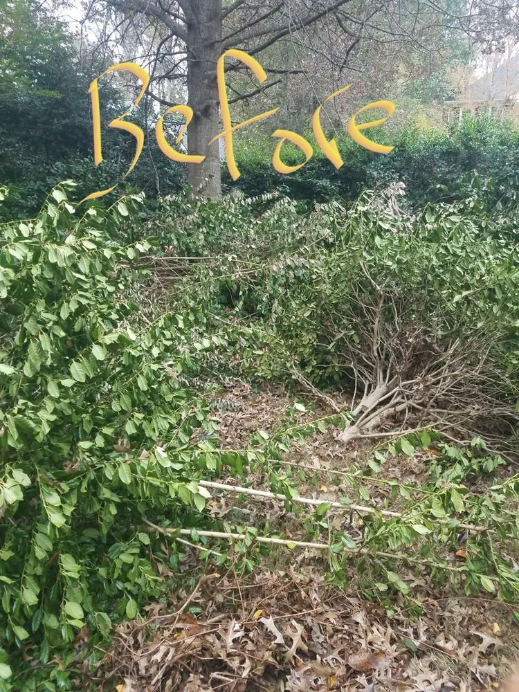 Reliable outdoor landscaping experts serving Lawrenceville, GA - Solomons Lawn Care Management