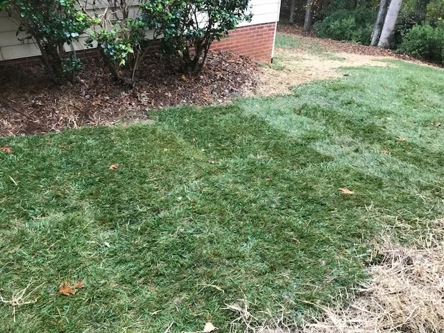 Professional residential landscaping experts serving Lawrenceville, GA - Solomons Lawn Care Management