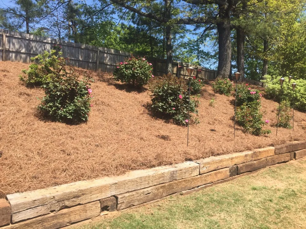 Local outdoor landscaping in Lawrenceville, GA - Solomons Lawn Care Management