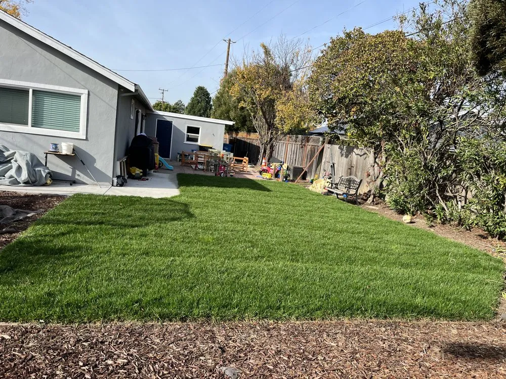 Expert landscaping services in East Palo Alto, CA by Solorio & Family Landcape