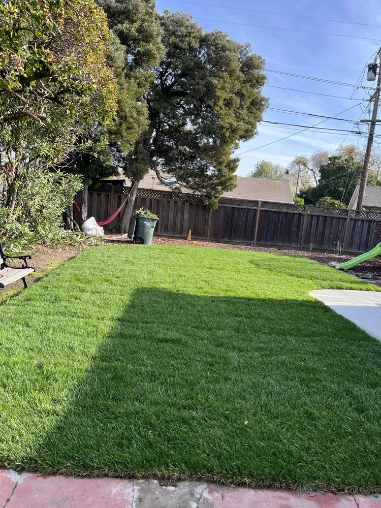 Professional landscape design for year-round maintenance in East Palo Alto, CA by Solorio & Family Landcape