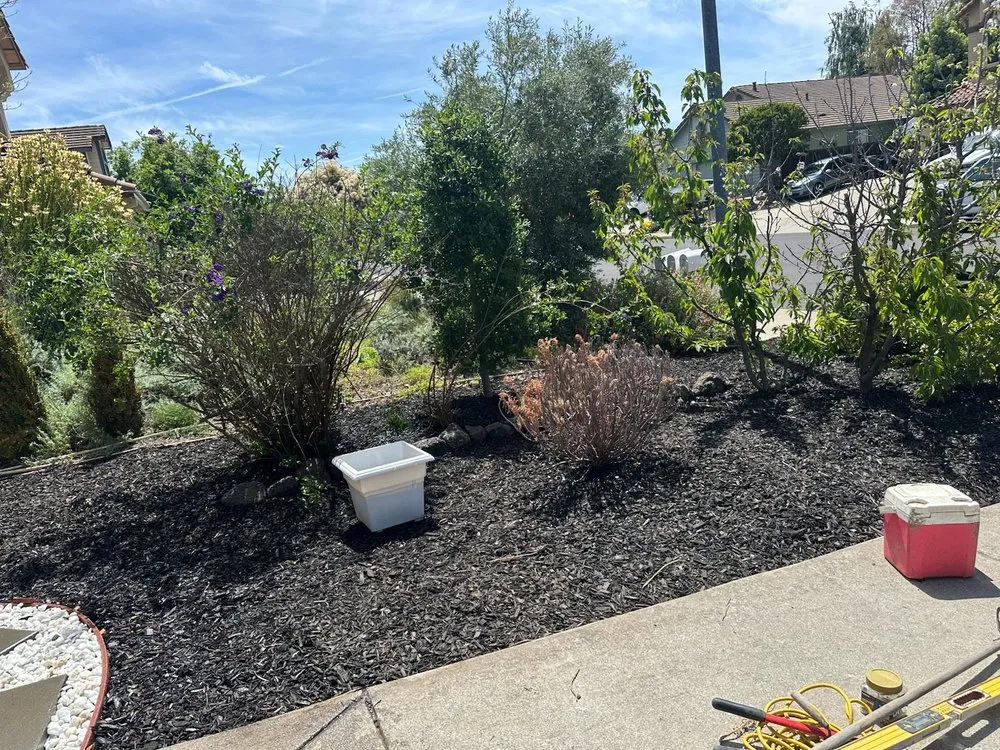 Local landscape design experts serving Milpitas, CA - Solorio Greenscape and Hauling