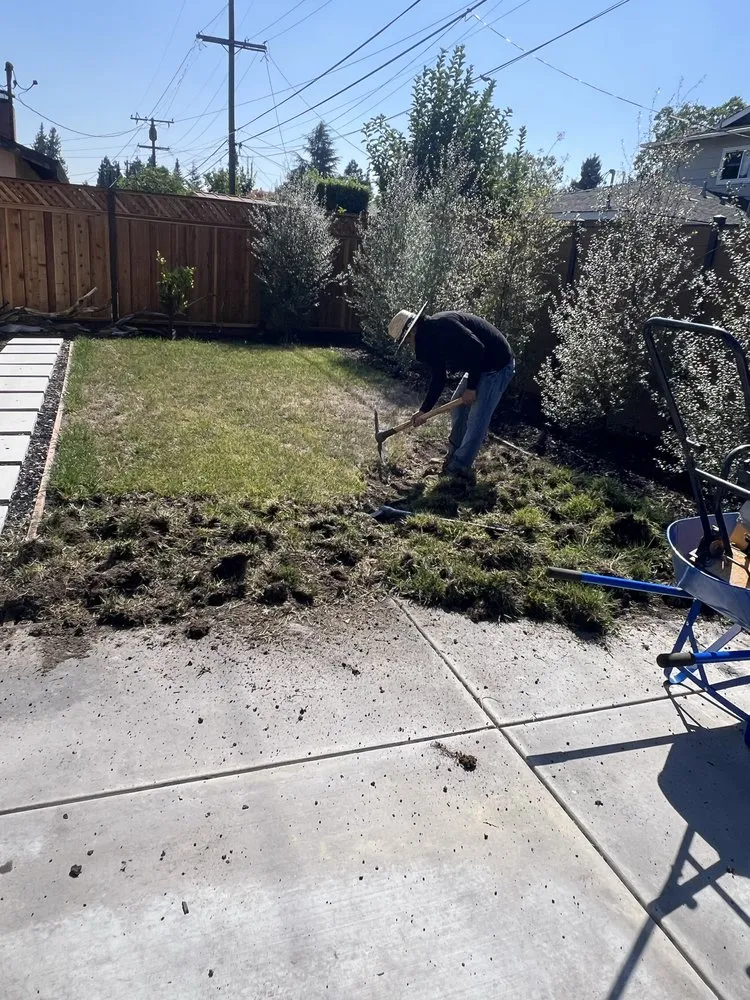Affordable lawn mowing service for homes in San Jose, CA by Solorio Landscaping