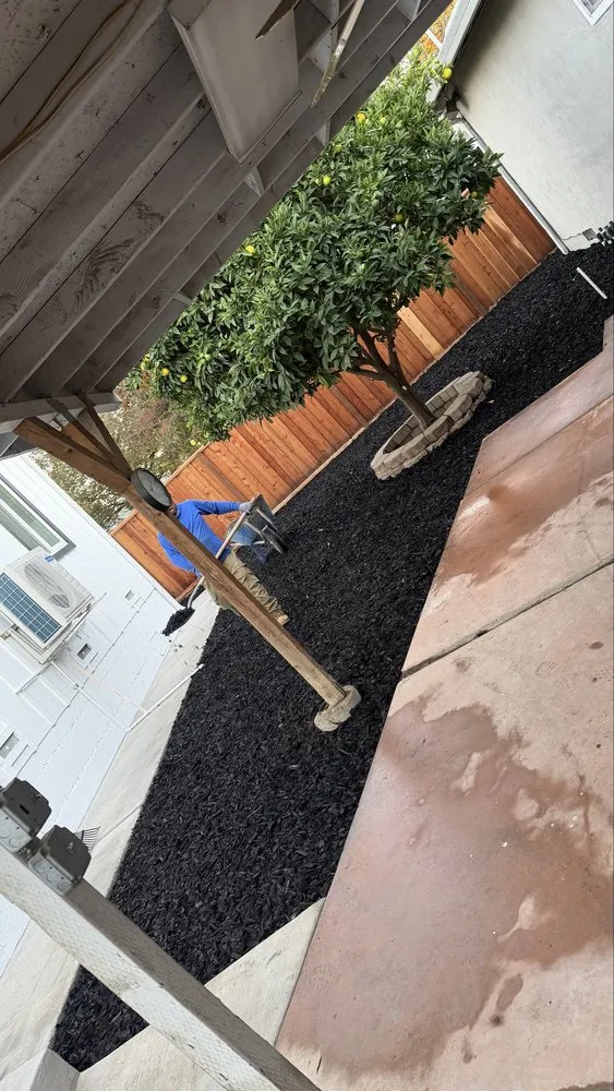 Trusted lawn care service in San Jose, CA by Solorio Landscaping