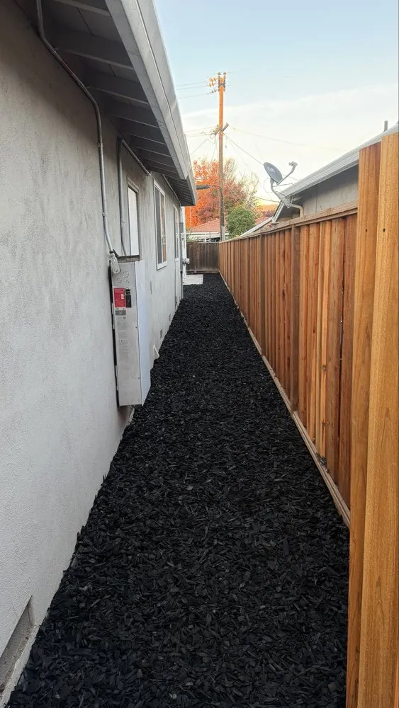 Affordable yard maintenance in San Jose, CA by Solorio Landscaping