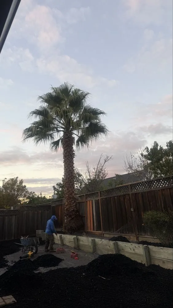 Custom lawn mowing service experts serving San Jose, CA - Solorio Landscaping