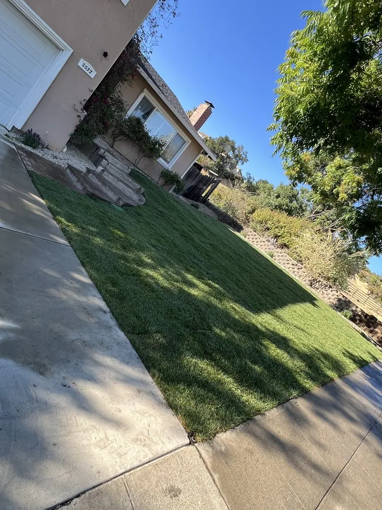 Trusted lawn care service for beautiful yards in San Jose, CA by Solorio Landscaping