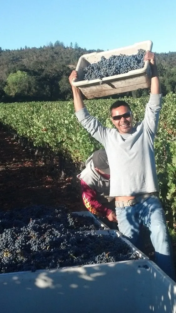 Custom lawn care service in Windsor, CA by Solorio Vineyard Management