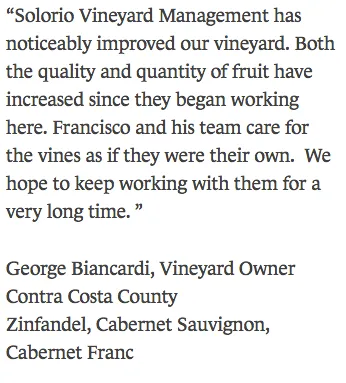 Trusted landscape installation for residential properties in Windsor, CA by Solorio Vineyard Management