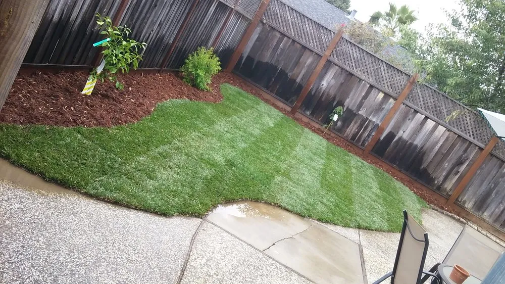 Custom yard maintenance in San Jose, CA - Solorio's Landscape