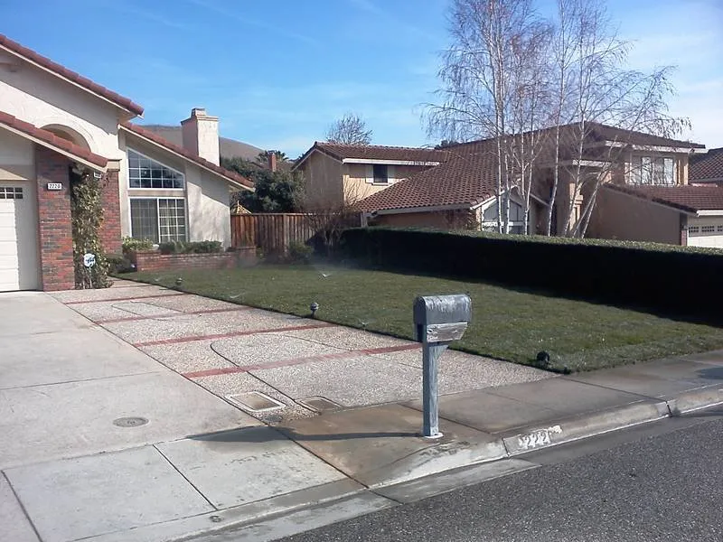 Custom yard maintenance for residential properties in San Jose, CA by Solorio's Landscape