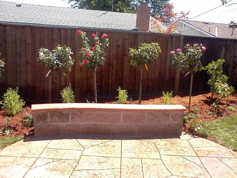 Expert yard cleanup service with custom design in San Jose, CA by Solorio's Landscape