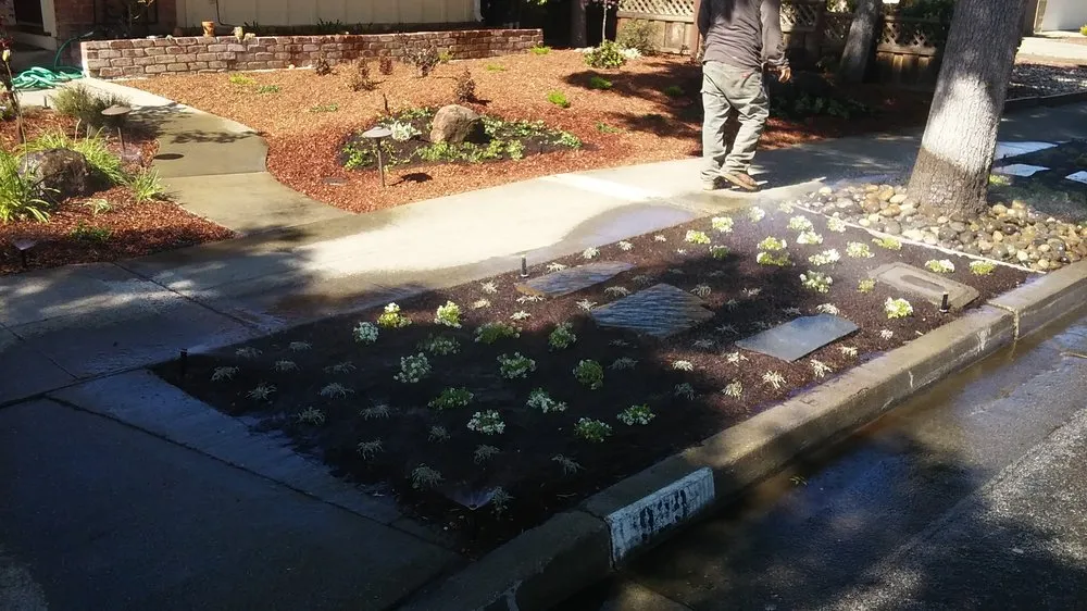 Professional residential landscaping near you in San Jose, CA by Solorio's Landscape