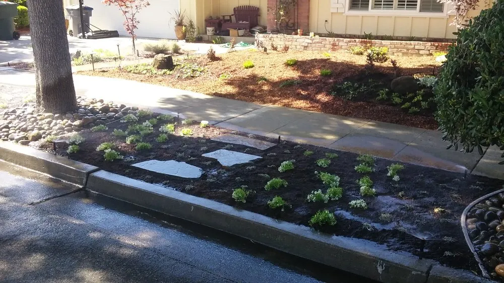 Expert lawn care service for homes in San Jose, CA by Solorio's Landscape