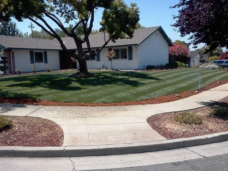 Reliable lawn care service experts serving San Jose, CA - Solorio's Landscape