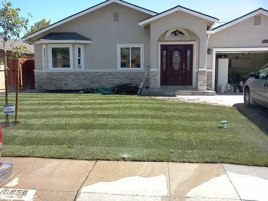 Solorio's Landscape Logo