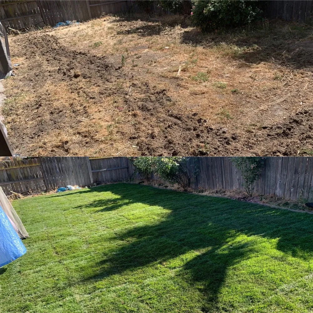 Trusted lawn mowing service experts serving Merced, CA - Solorio’s Lawn Care
