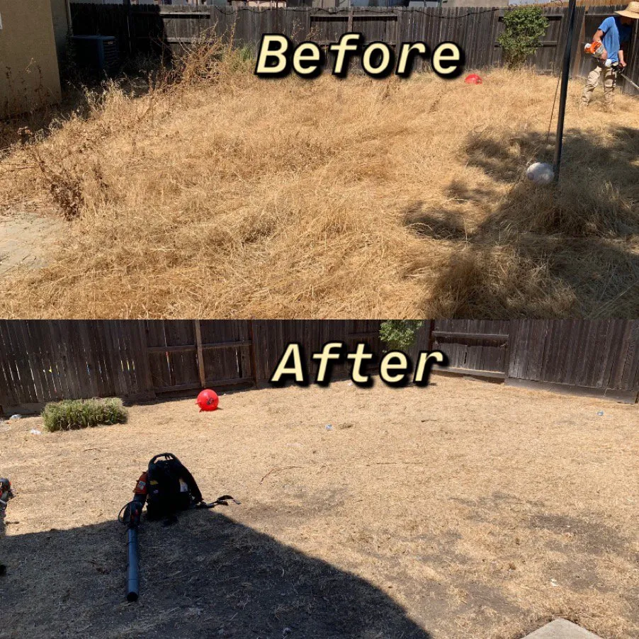 Expert outdoor landscaping for residential properties in Merced, CA by Solorio’s Lawn Care