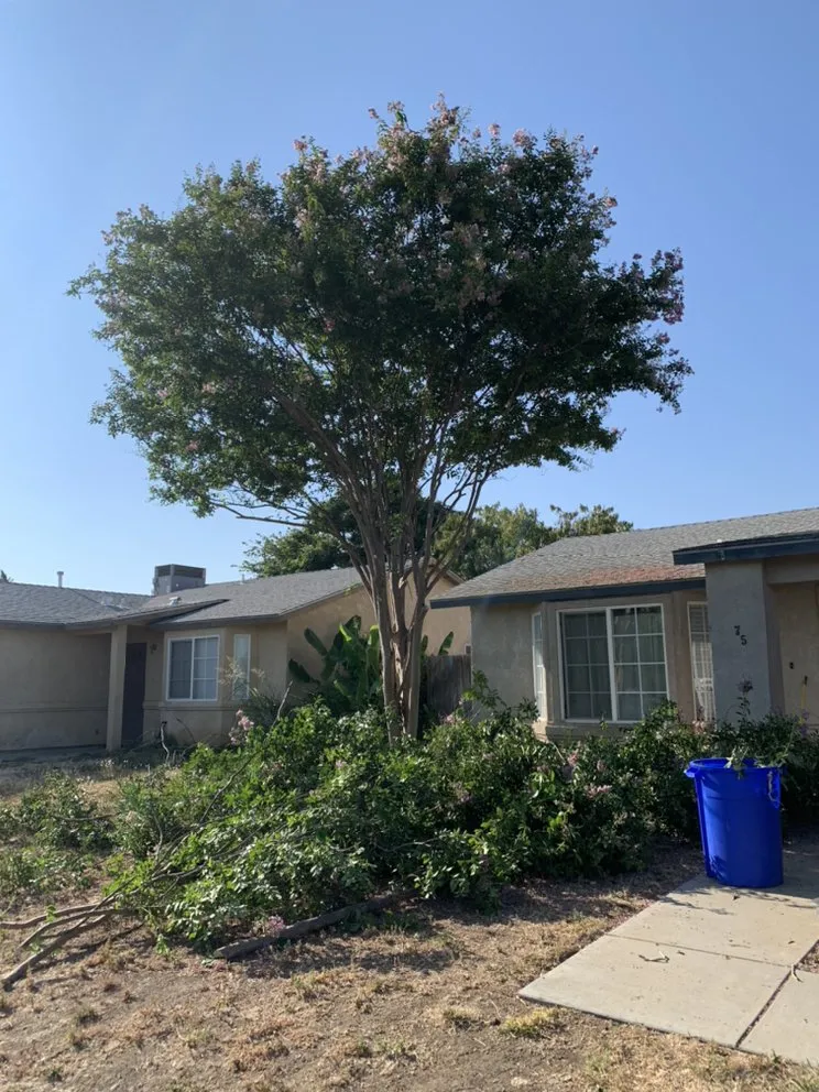 Reliable lawn care service in Merced, CA - Solorio’s Lawn Care