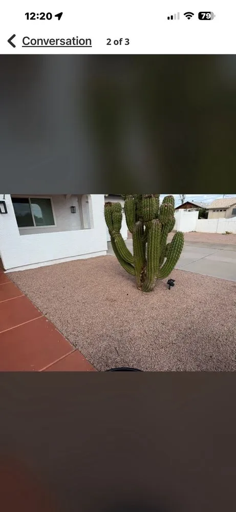 Affordable yard maintenance in Chandler, AZ - Solos Home Services