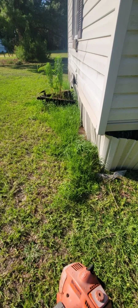 Local landscape installation in Florence, SC - Solo's Lawncare Service