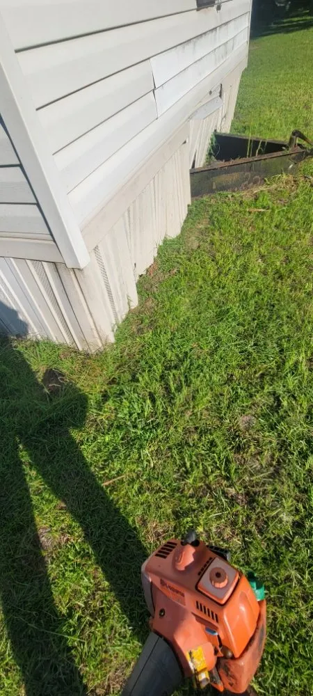 Top-rated yard cleanup service for year-round maintenance across Florence, SC - Solo's Lawncare Service